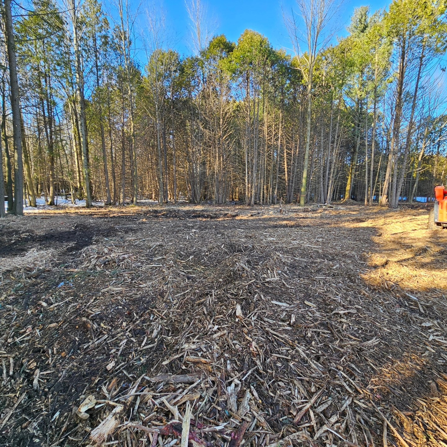 Forestry Mulching